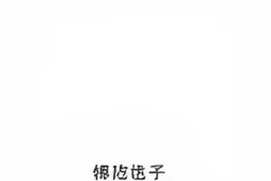 《一枚旧合同的背面》条款对照封面图